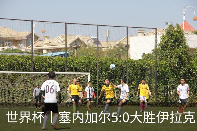 世界杯丨塞内加尔5:0大胜伊拉克 有望凭净胜球优势晋级