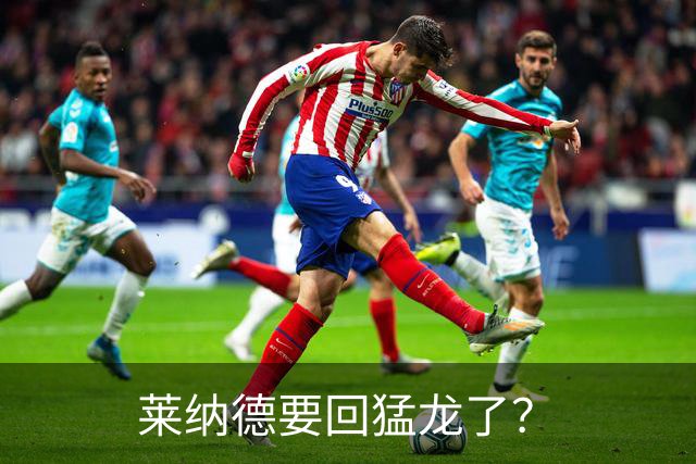 莱纳德要回猛龙了？